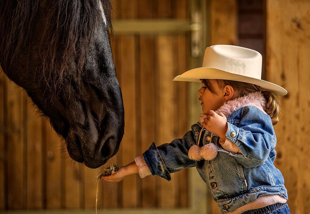 El Bronco Working Ranch Izsák エクステリア 写真