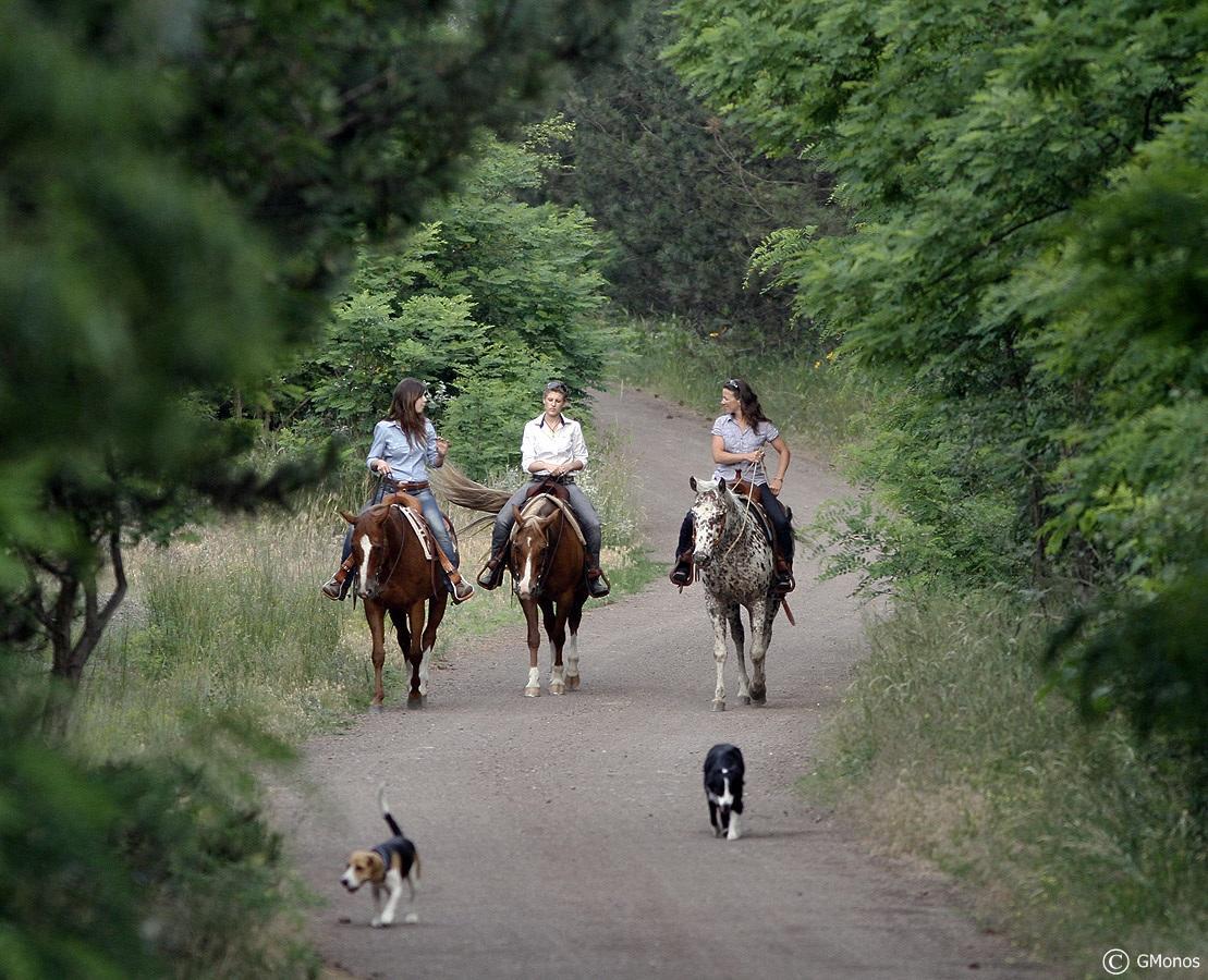 El Bronco Working Ranch Izsák エクステリア 写真