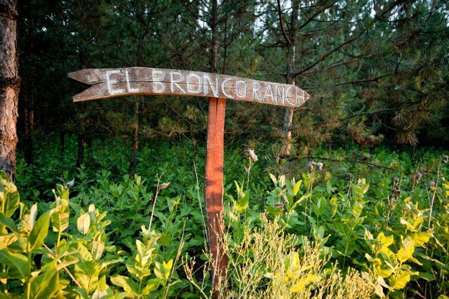 El Bronco Working Ranch Izsák エクステリア 写真